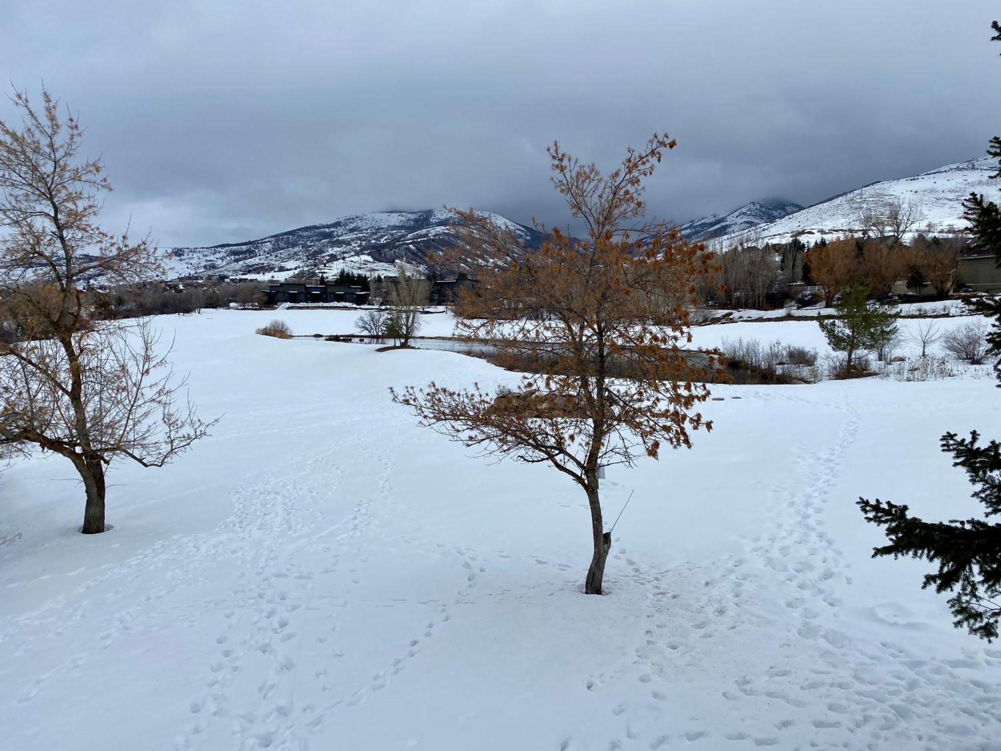 Wolf Creek Lodge Condo In Eden, Ut - Relaxing Mountain Retreat Zewnętrze zdjęcie